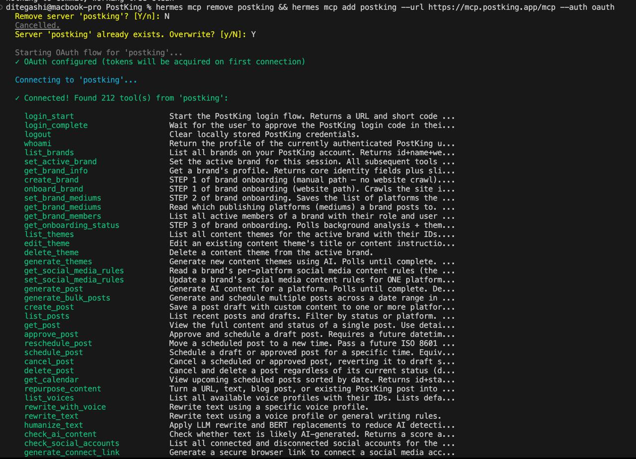 Hermes model configuration and local server setup