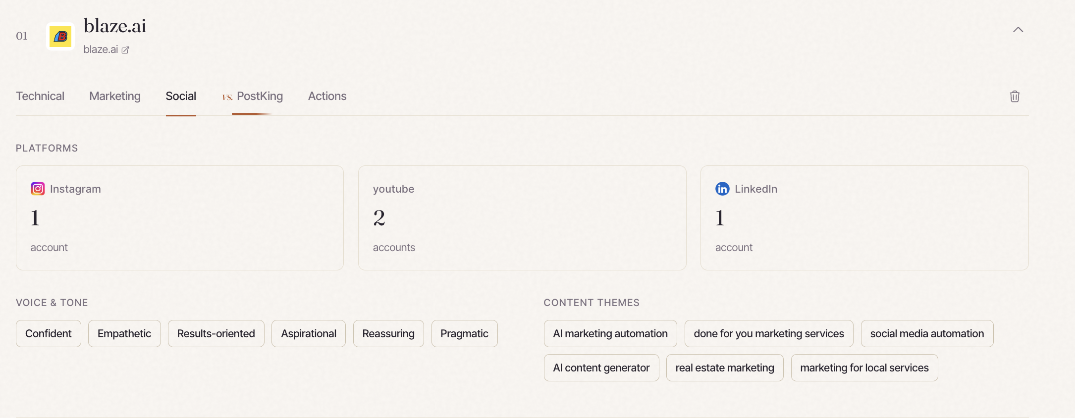 Competitor Social tab showing platforms, accounts, and content themes for a tracked competitor